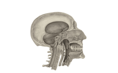 La Inteligencia Artificial en la Odontología